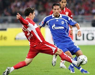 全和健康的 全和健康的